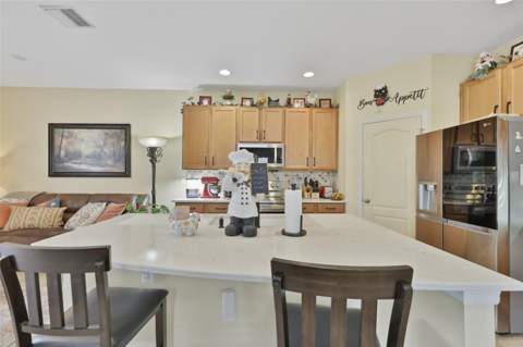 8718 Turnstone Haven Place, Tampa FL - photo 11 of 38