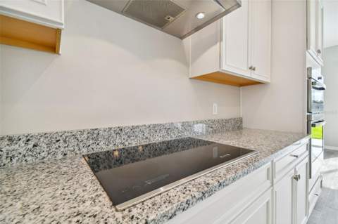 38190 Shale Stone Court, Zephyrhills FL - photo 16 of 76