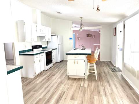 8739 Highpoint Boulevard, Brooksville FL - photo 6 of 30