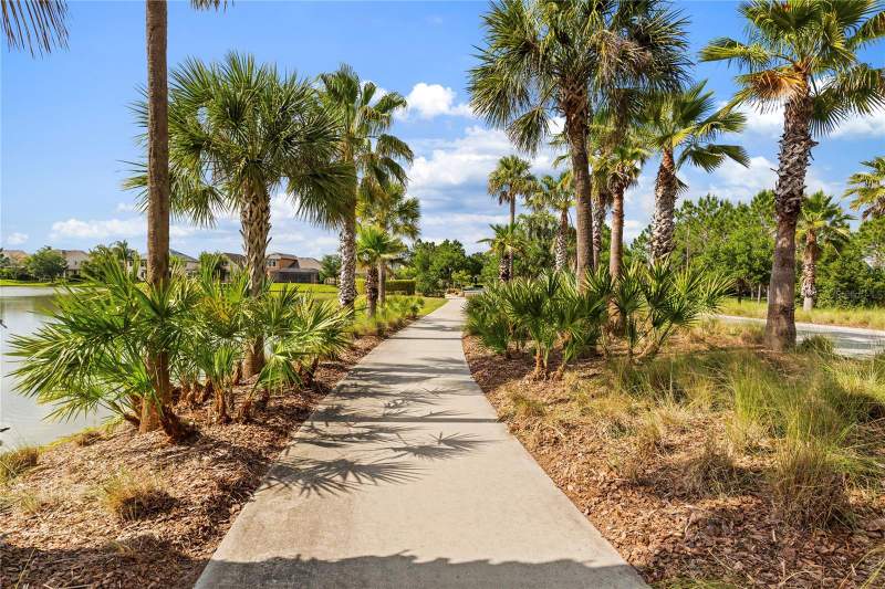 6 bedroom Single Family Residence at 31976 Watoga Loop, Union Park Ph 1B, Wesley Chapel — photo 4