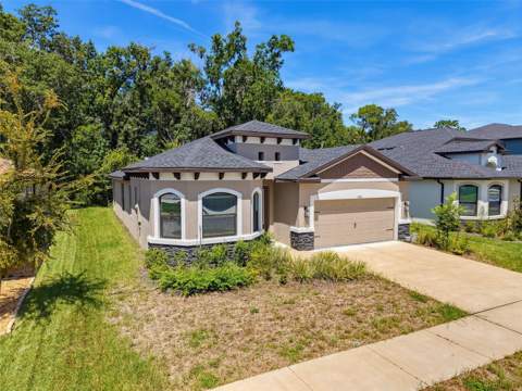 11515 Weaver Hollow Road, New Port Richey FL - photo 7 of 74