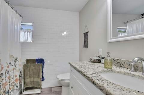 1815 E Seward Street, Tampa FL - photo 8 of 41
