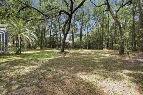 4208 SW 96th Drive, Gainesville FL - photo 18 of 66