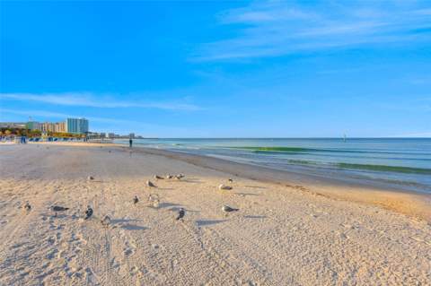 1024 Eldorado Avenue, Clearwater Beach FL - photo 14 of 23