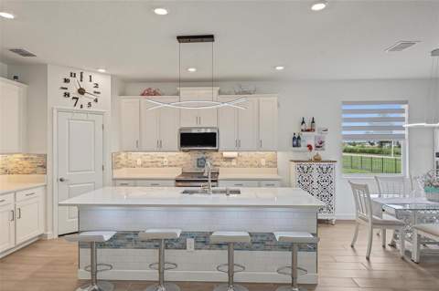 31687 Parkland Bay Way, San Antonio FL - photo 18 of 80