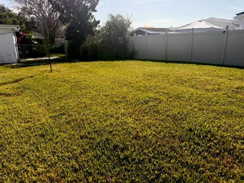9617 Lake Chrise Lane, Port Richey FL - photo 6 of 6