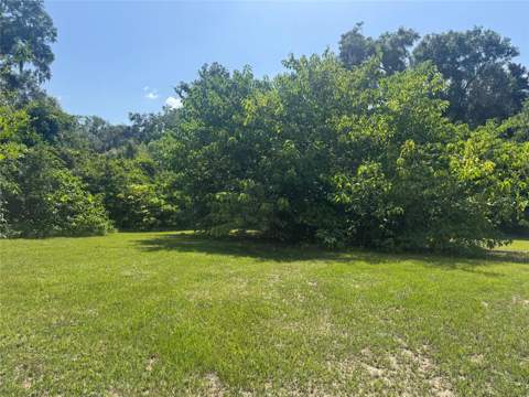 4650 SW 36 Street, Ocala FL - photo 6 of 36