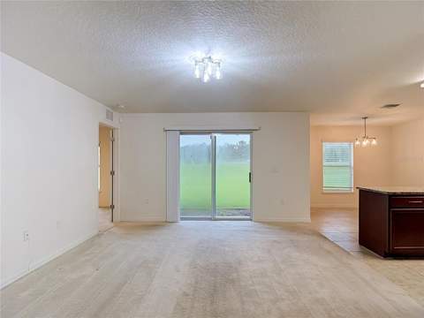 30541 Satinleaf Run, Brooksville FL - photo 7 of 54