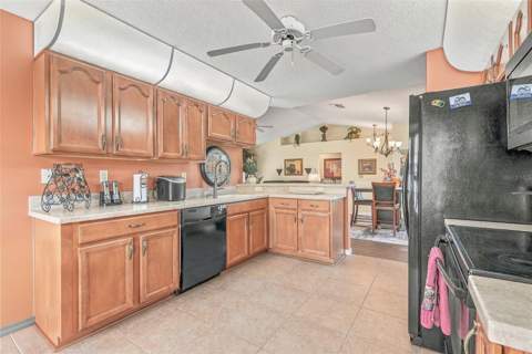 8218 Spanish Oak Drive, Spring Hill FL - photo 20 of 50