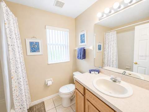 2914 Blooming Alamanda Loop, Kissimmee FL - photo 17 of 21