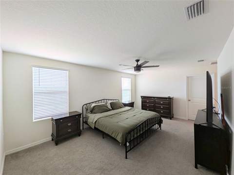 35357 Spruce Knob Court, Dade City FL - photo 11 of 30