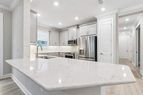 4618 Rosatti Road, Wesley Chapel FL - photo 7 of 99