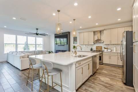 3281 Great Banyan Way, Wesley Chapel FL - photo 13 of 45