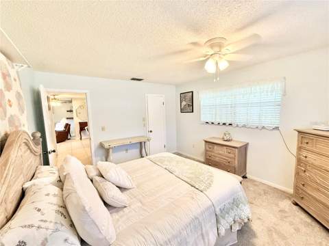 1031 Park Avenue, Tavares FL - photo 13 of 26