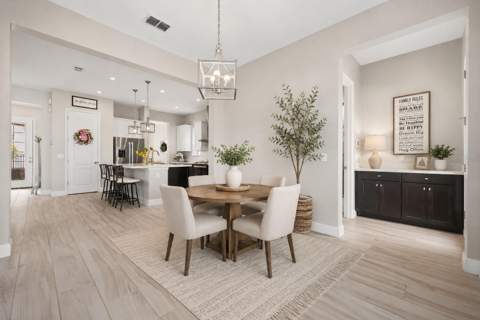13358 Beebe Alley, Orlando FL - photo 15 of 37