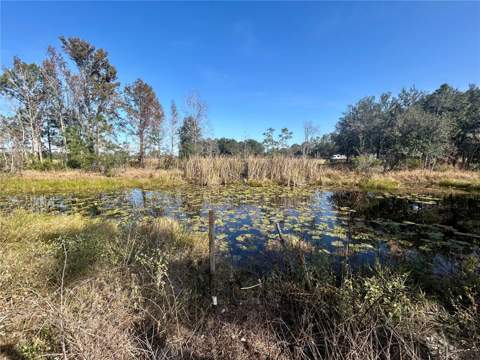 12714 State Road 33, Groveland FL - photo 8 of 22