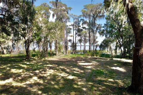 9817 NE County Road 1469, Earleton FL - photo 6 of 6