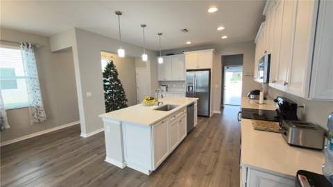 2501 Stapleford Place, Wesley Chapel FL - photo 11 of 31