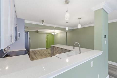 2413 Bayshore Boulevard #1004, Tampa FL - photo 17 of 50