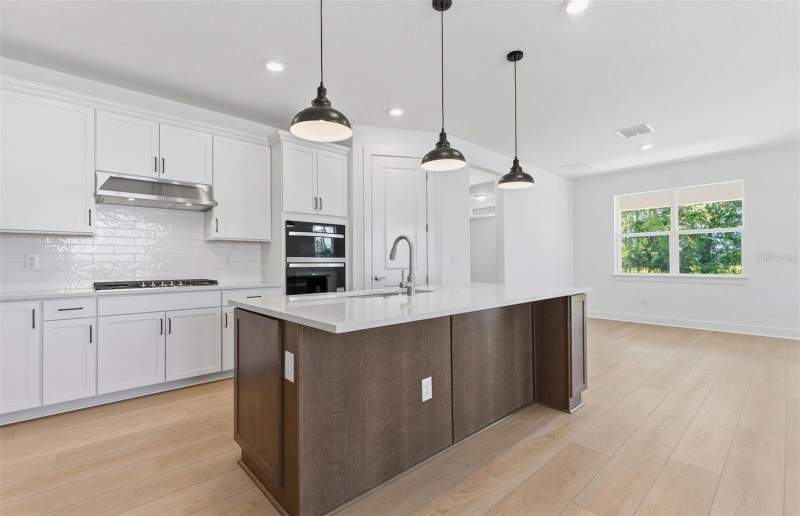 4 bedroom Single Family Residence at 1662 Shields Point, Two Rivers, Zephyrhills — photo 3