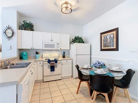 2333 Silver Palm Drive, Kissimmee FL - photo 10 of 59