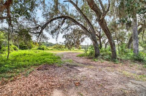 5686 E Highway 316, Citra FL - photo 16 of 40