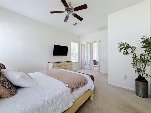 25206 Ormond Court, Leesburg FL - photo 19 of 46