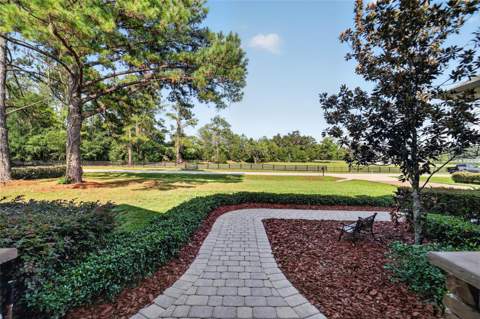 11050 SE 37th Avenue Road, Belleview FL - photo 6 of 6