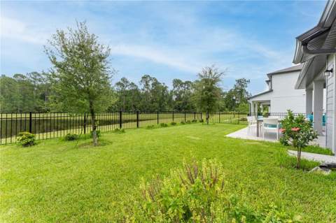 11243 Pixie Mandarin Court, Winter Garden FL - photo 10 of 66