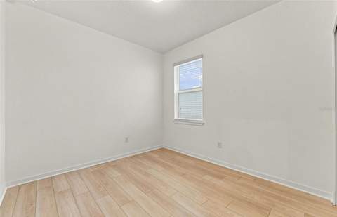 10037 Trellis Vine Way, Parrish FL - photo 12 of 20