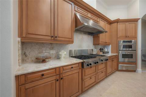 21228 Quiet Haven Court, Land O Lakes FL - photo 8 of 63