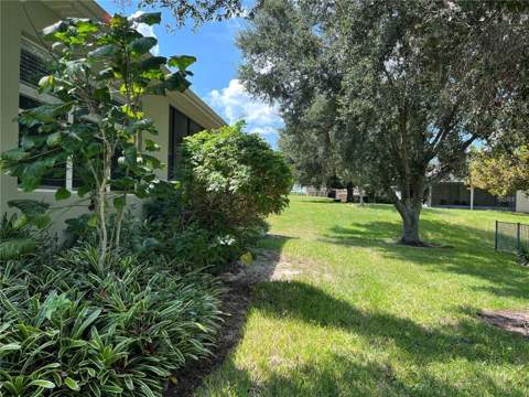 119 Falling Acorn Avenue, Groveland FL - photo 16 of 25