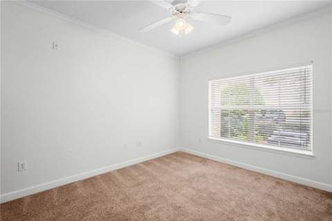 18525 Bridle Club Drive #18525, Tampa FL - photo 20 of 38
