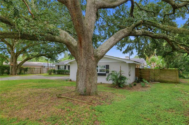 5 bedroom Single Family Residence at 714 Avenue O, Highland Estates, Winter Haven — photo 3