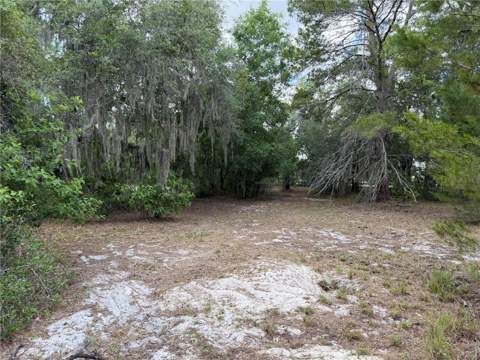 8351 Wakeford Road, Lake Wales FL - photo 22 of 26