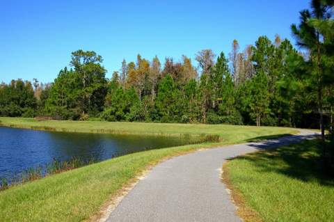22075 Blazing Star Run, Land O Lakes FL - photo 13 of 13