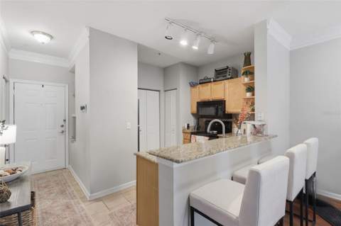 4207 S Dale Mabry Highway #6110, Tampa FL - photo 12 of 25
