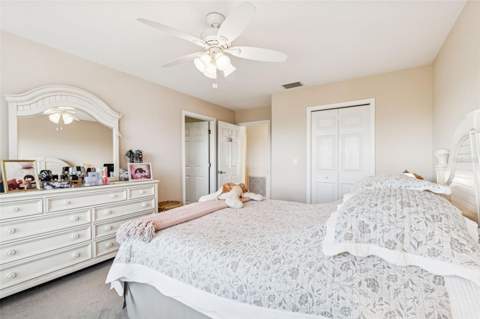 1059 S Pointe Alexis Dr, Tarpon Springs FL - photo 20 of 80
