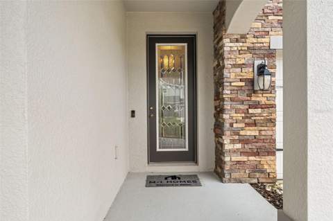 31046 Parrot Reef Court, Wesley Chapel FL - photo 7 of 99