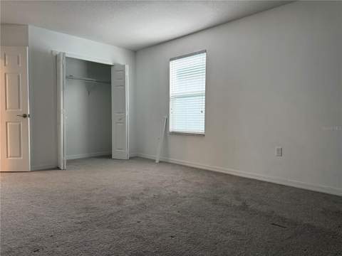 33263 Sycamore Leaf Drive, Wesley Chapel FL - photo 22 of 52
