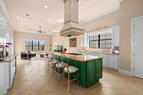 490 Muirfield Loop, Reunion FL - photo 13 of 52