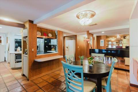 4404 Old Orchard Drive, Tampa FL - photo 19 of 89