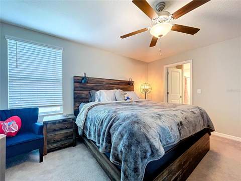 3141 Oyster Cove Street, Wimauma FL - photo 18 of 34