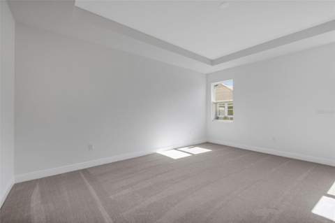 17374 Crisp Apple Lane, Land O Lakes FL - photo 19 of 42