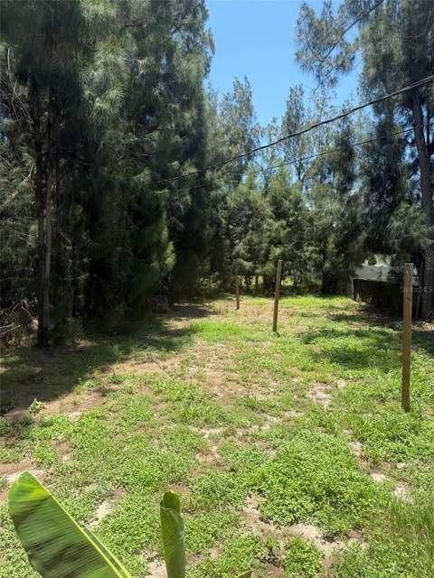 6458 79th Avenue, Pinellas Park FL - photo 8 of 9