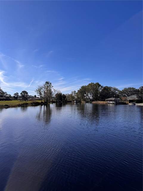 3412 Lake Diane Road, Tavares FL - photo 15 of 16