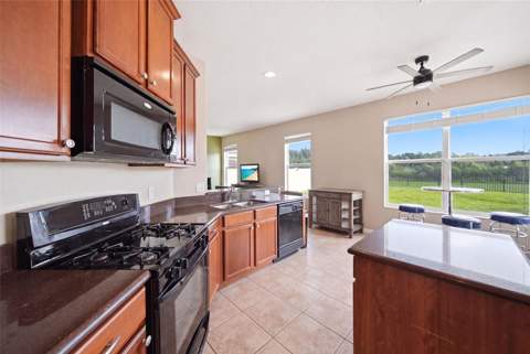 2391 Sabastian St, Mount Dora FL - photo 12 of 54