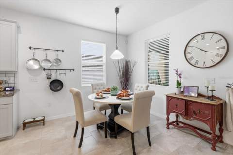 2861 Storybrook Preserve Drive, Odessa FL - photo 17 of 46