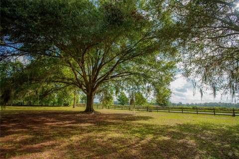 25518 NW County Road 241, Alachua FL - photo 7 of 73