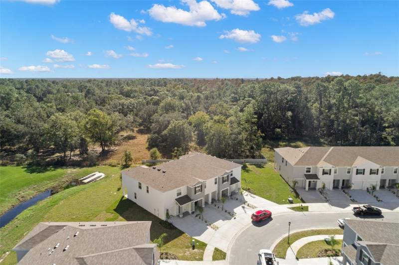 3 bedroom Townhouse at 1393 Colt Creek Place, Union Park Ph 7F1 & 7F2, Wesley Chapel — photo 3